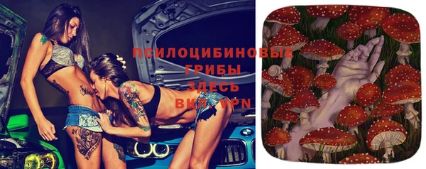 apvp Абинск